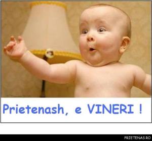 1233358_533112530102640_2139635786_n