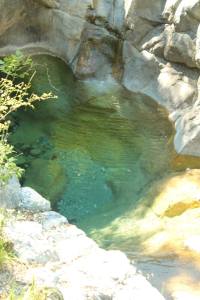 11952975_517732588394753_7149729358371159685_o