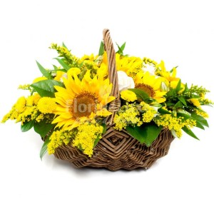 cos_cu_flori_galbene_1_