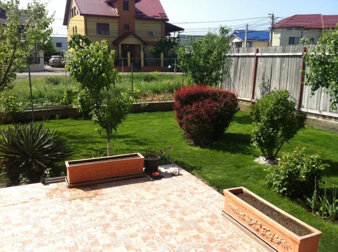 13112981_1073358406038897_4913175944810981051_o