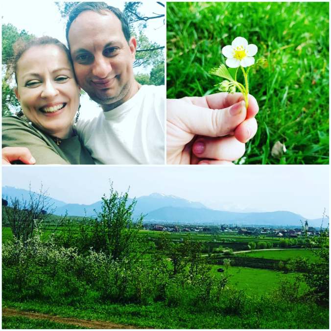 182453231_529465581415149_8760597191400566346_n