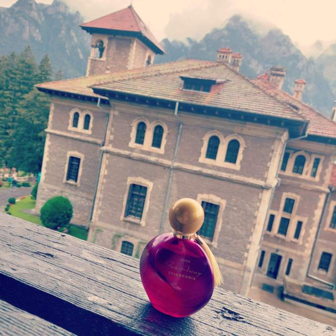 307154806_1738912136442094_3263083376632444909_n(1)