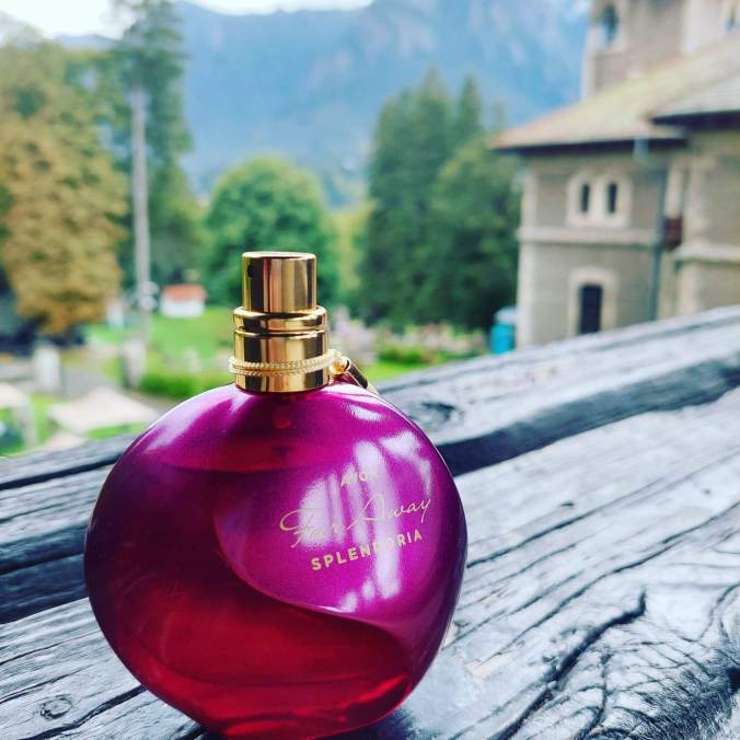 307400230_3207642396155436_714909918243194496_n(1)