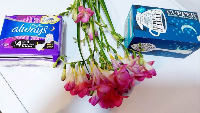 329783282_1263973787873646_3473508829740456329_n (1)